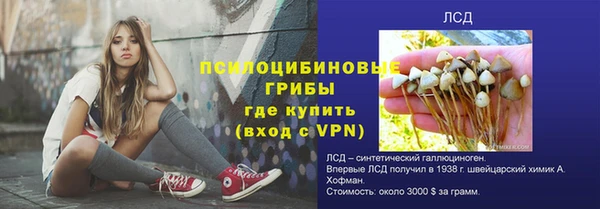 прущие грибы Балахна