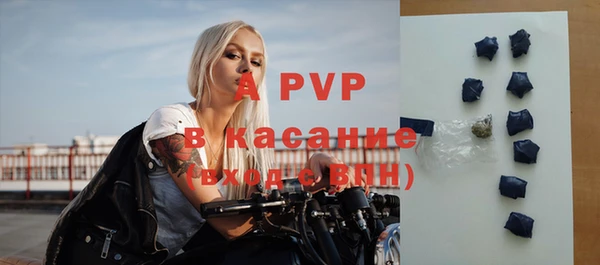 прущие грибы Балахна