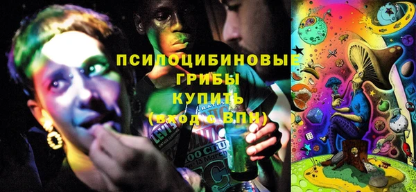 ПСИЛОЦИБИНОВЫЕ ГРИБЫ Балабаново