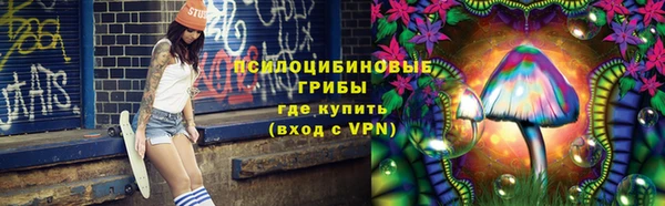 ПСИЛОЦИБИНОВЫЕ ГРИБЫ Балабаново