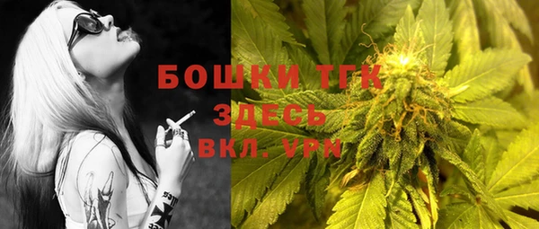 прущие грибы Балахна