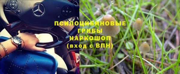ALPHA PVP Снежинск