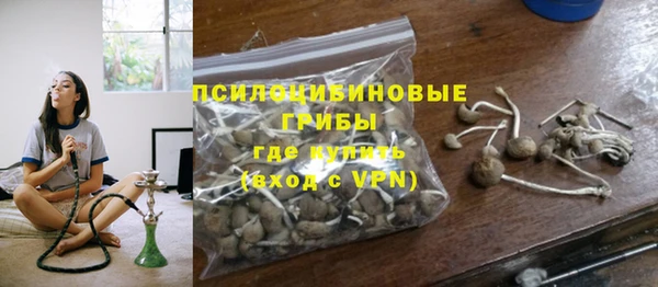 прущие грибы Балахна