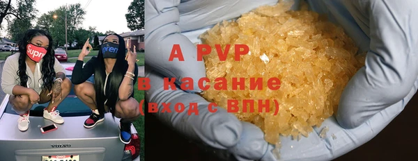 прущие грибы Балахна