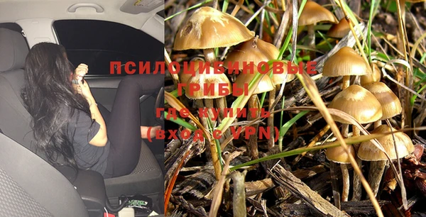 марки nbome Баксан