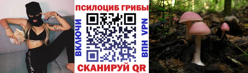 Галлюциногенные грибы ЛСД Волосово